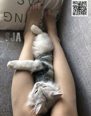 少妇有性瘾很放荡np_高清神马在线观看