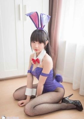 我最爱的女人们在线观看_DVD视频大全